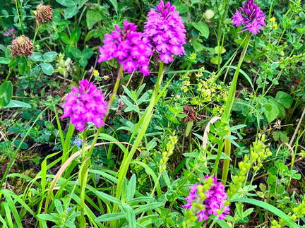 22-06-06 11-27-35 1058